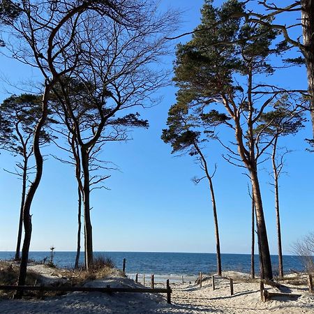 Ferienwohnung Strandkoje เดียร์ฮาเกิน ภายนอก รูปภาพ
