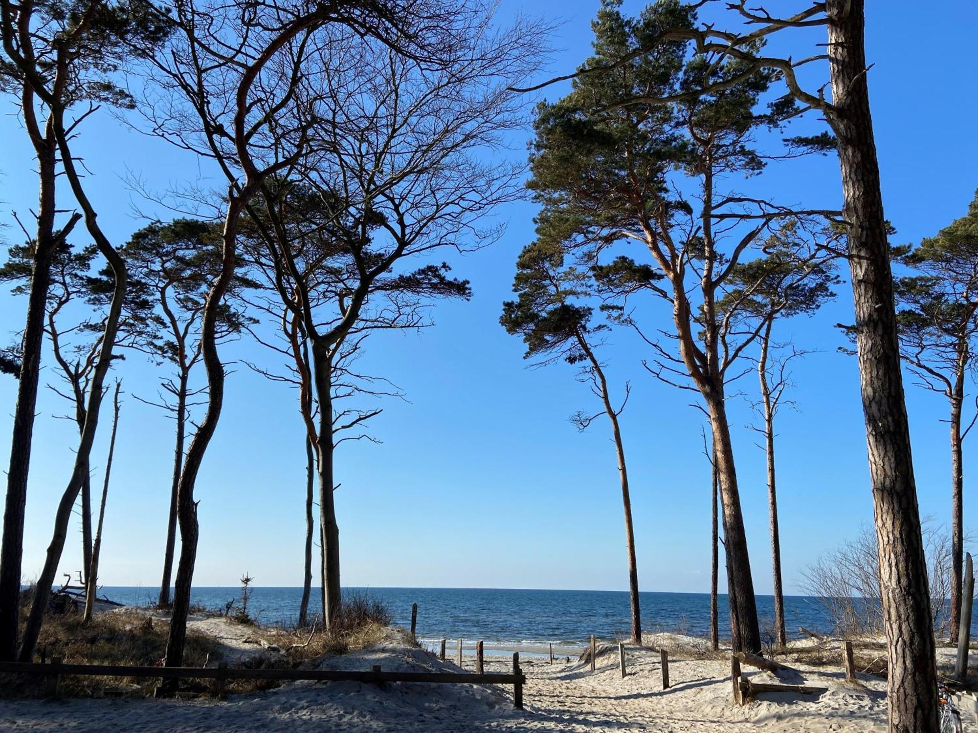 Ferienwohnung Strandkoje เดียร์ฮาเกิน ภายนอก รูปภาพ